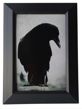 Black raven beautiful frame photo print  gothic punk rock steampunk Goth Oddy